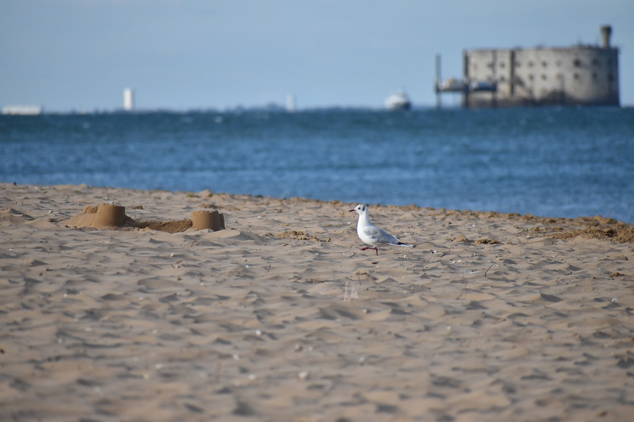 Plage des Saumonards